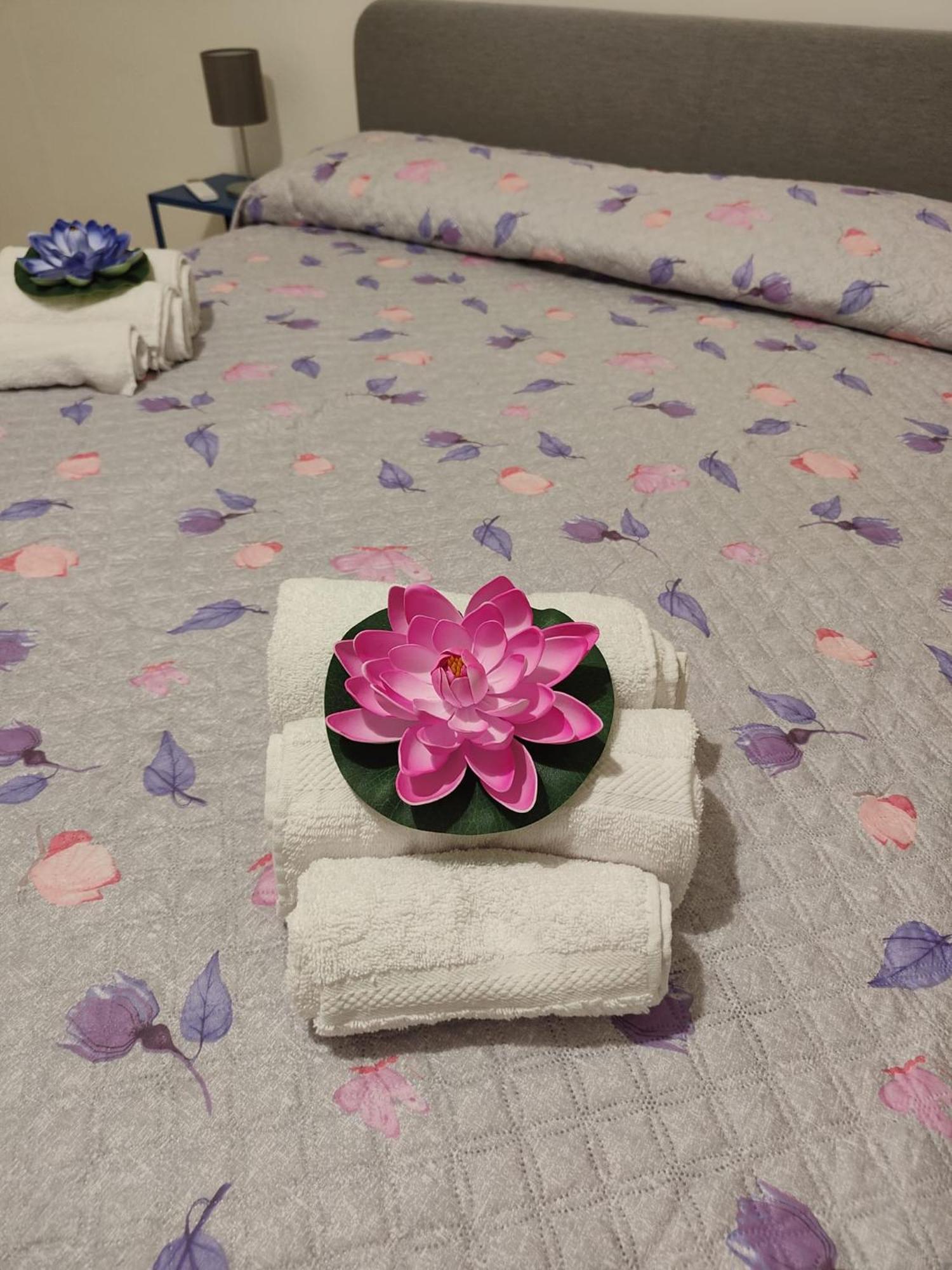 Aurigio Apartamento